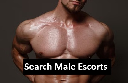 Gay Escorts Rentboys